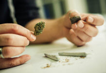 Learning How to Smoke Hash: 8 Best Ways hashish-use