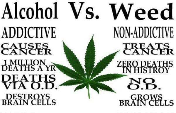 Treating an Alcohol Addiction with Cannabis alcohol addiction, cannabis, booze, alcohol abuse, marijuana, marijuana