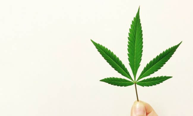 synthetic marijuana, synthetic cannabis, fake weed