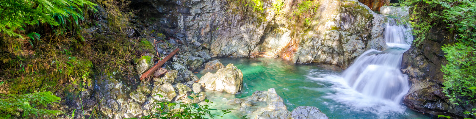 lynn canyon, herb approach, get stoned, adventure, weed