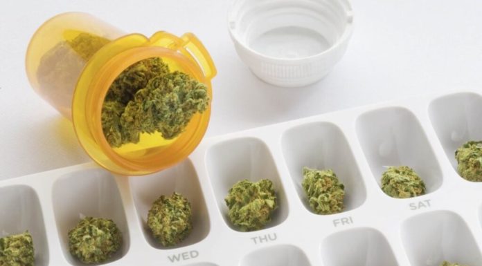 Finding the Perfect Cannabis Dosage dosage, thc, cbd, endocannabinoid, cannabis, cannabis sativa