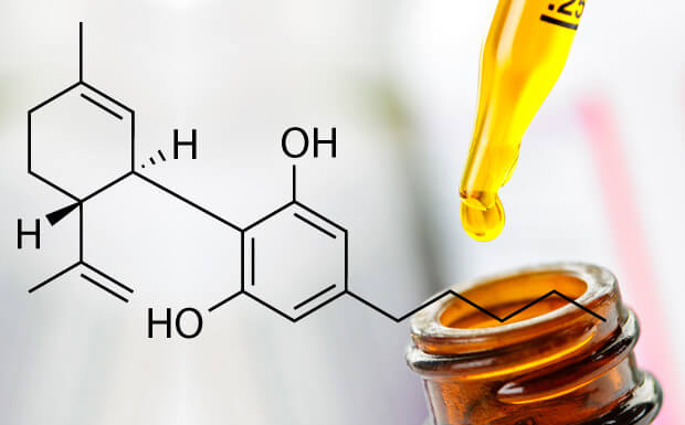 cannabis oil, cbd, cannabis, herb approach