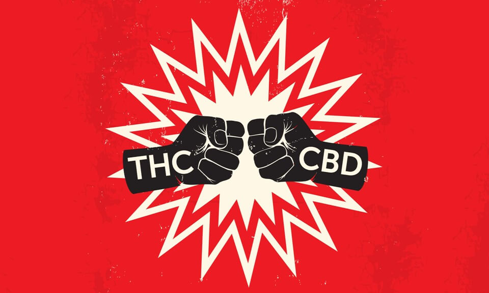 cbd tincture, Thc cbd ratio, cbd to thc ratio, benefits of thc, thc benefits