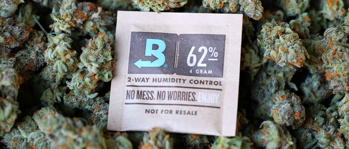 boveda pack