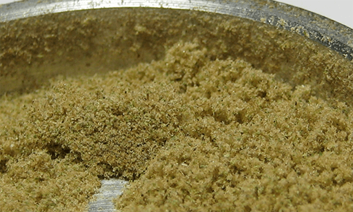 cannabis concentrates kief