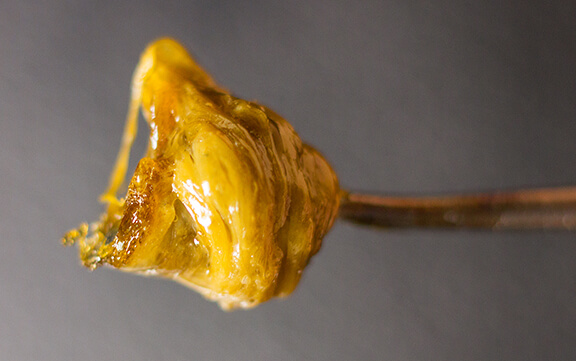 cannabis concentrates rosin