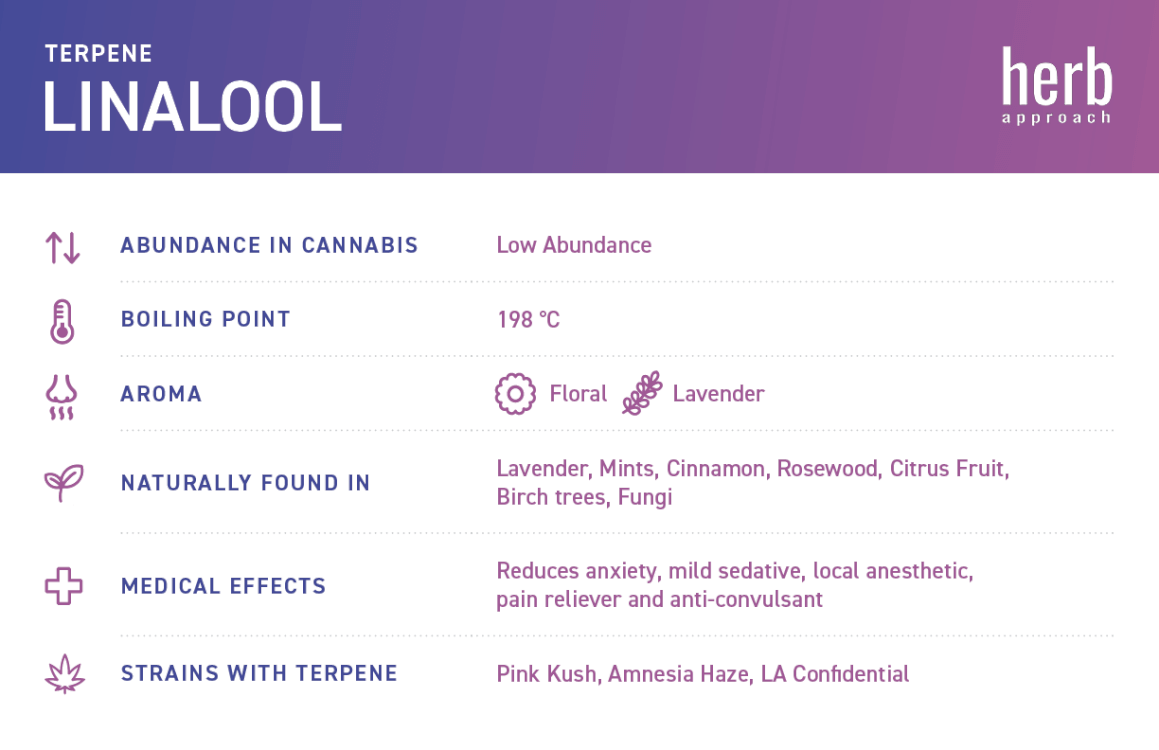 linalool terpenes chart