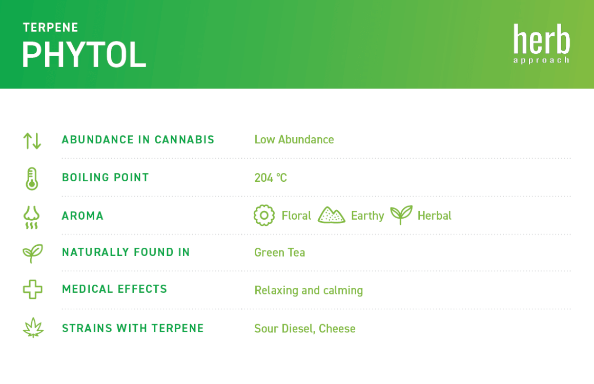 terpene chart phytol