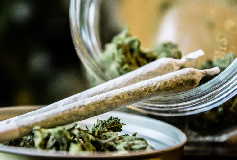 How To Keep Weed Fresh: Best Ways To Store and Preserve