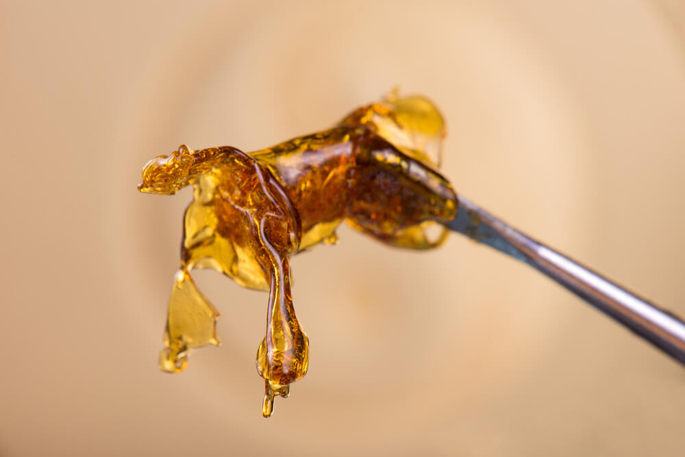 live resin vs shatter differences