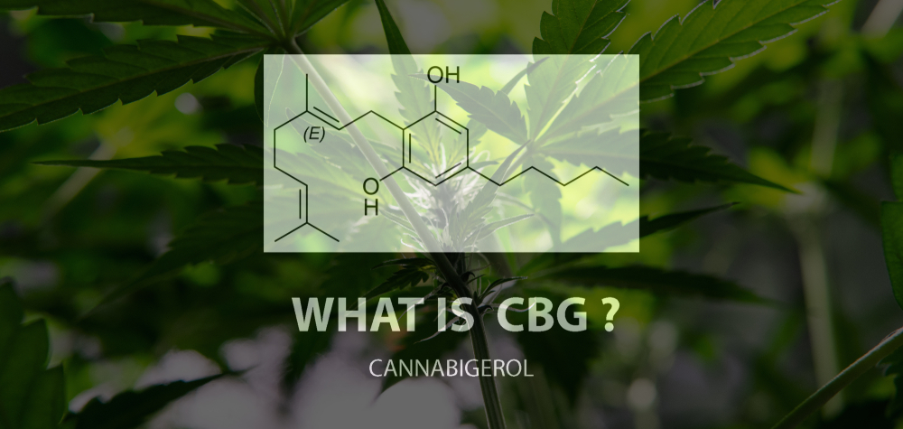 CBG effects