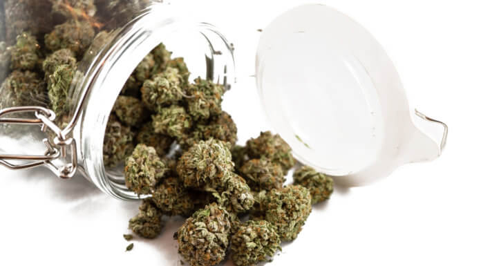 Can Weed Go Bad? Fact vs Fiction can weed go bad fact or fiction