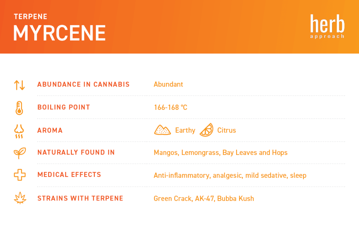 what is myrcene