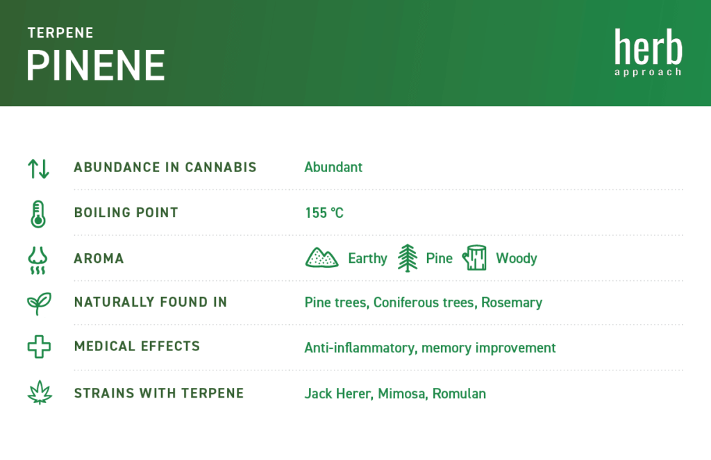 pinene terpenes chart