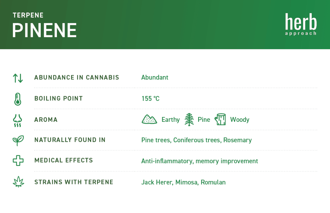 what is pinene