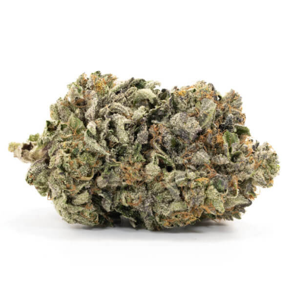 holiday festive strain permafrost