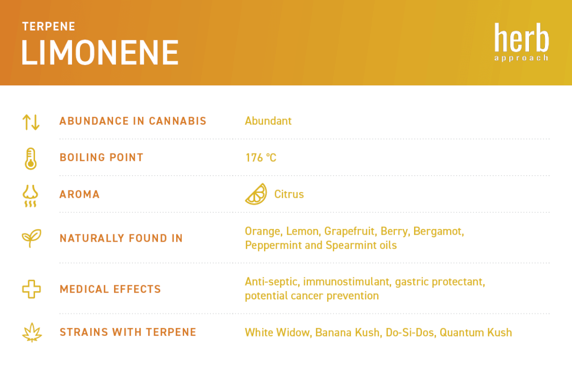 limonene terpene