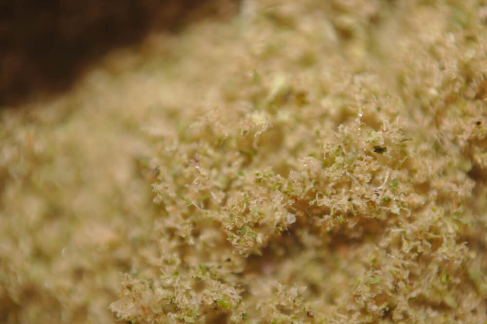 how to make bubble hash with kief 