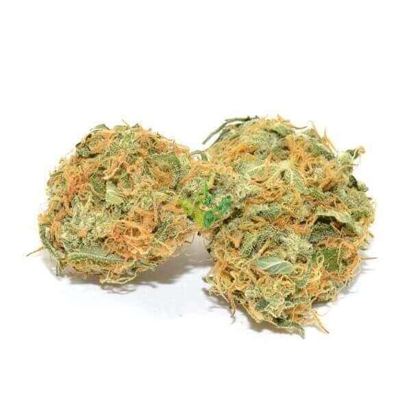 best sativa strains jack herer