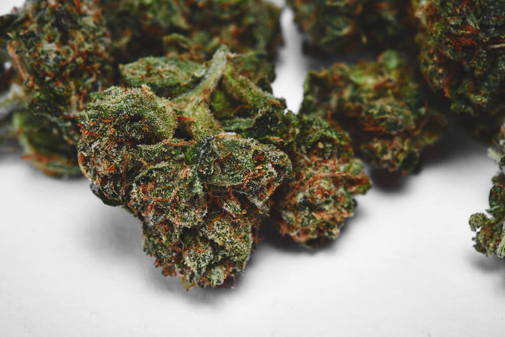 What Does OG Mean Top 5 OG Strains Herb Approach