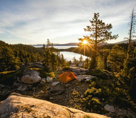 Camping with Cannabis in 2026