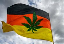 Germany’s Path to Legalizing Cannabis