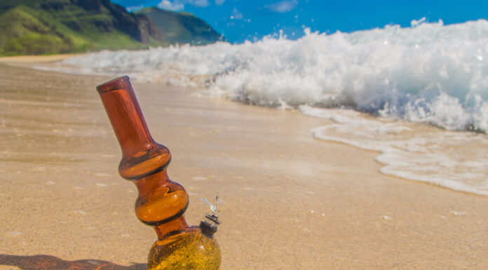 Infuse Cannabis into Your Summer Adventures