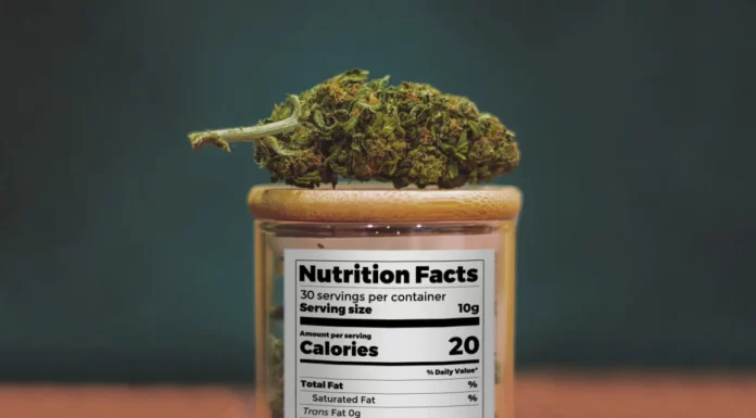 Does Weed Have Calories?