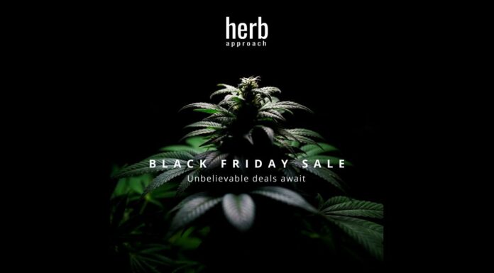 Black Friday 2024: The Best Deals of the Year