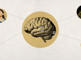 New Study Suggests Weed Brain Benefits Weed Brain Benefits