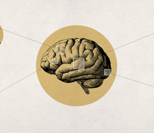 New Study Suggests Weed Brain Benefits Weed Brain Benefits